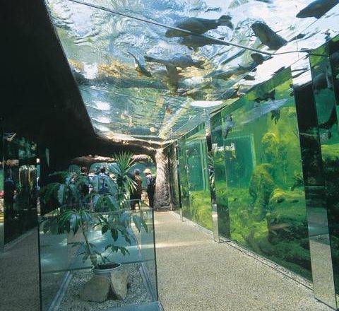 L'Aquarium du Périgord noir - SNCF Connect